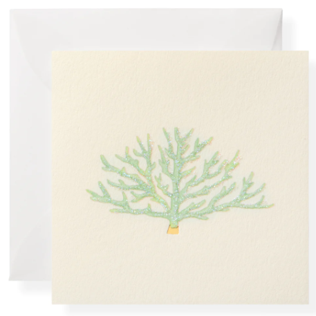 Salt Water Gift Enclosure Box