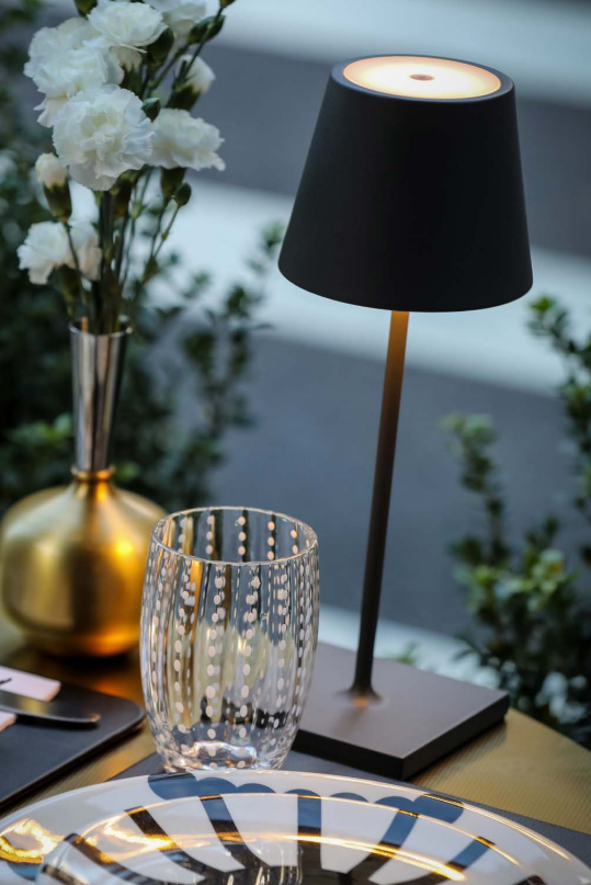 Poldina Pro Lamp